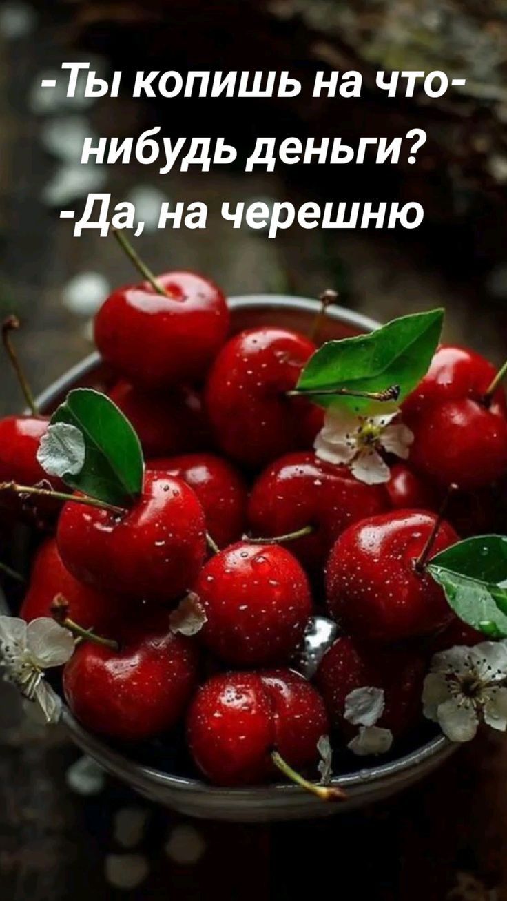 69 ыа йЫ копишь на что _ ибудь деньги д_аіа черешню