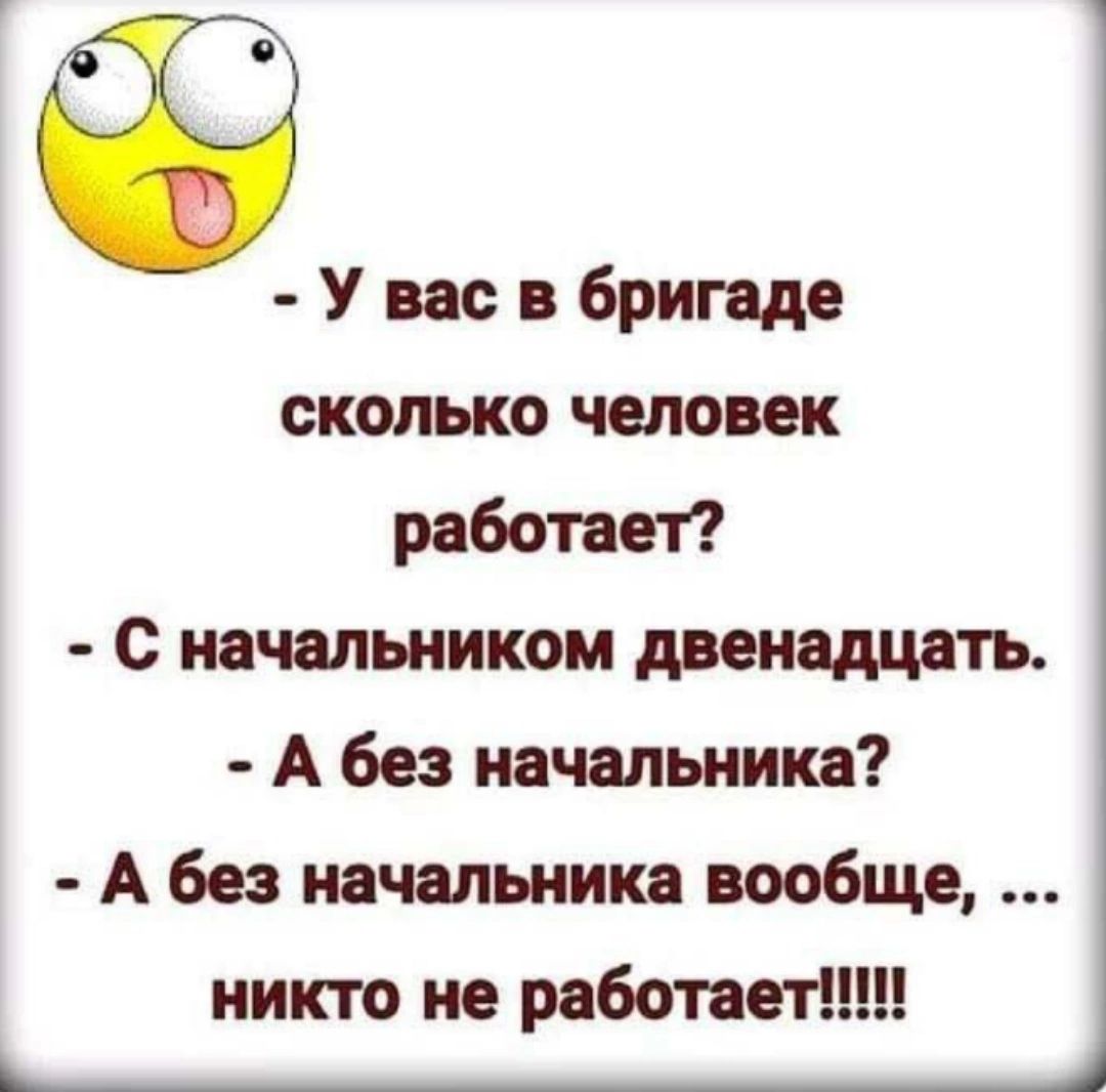 Х ы У вас в бригаде сколько человек работает С начальником двенадцать А без начальника А без начальника вообще ы йй