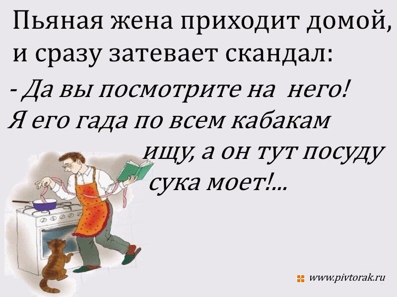 Пьяная жена приходит домой и сразу затевает скандал Да вы посмотрите на него Я его гада по всем кабакам ИЩу а он тут посуду сука моет нлинерАчоРавели