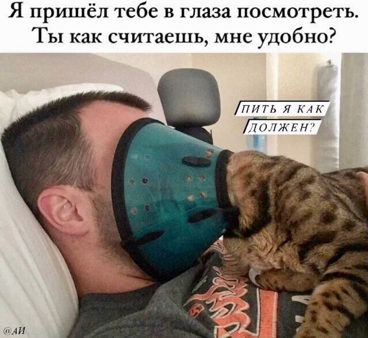 Я пришёл тебе в глаза посмотреть Ты как считаешь мне удобно ПитТЬ Я КАК ЛолжЕн