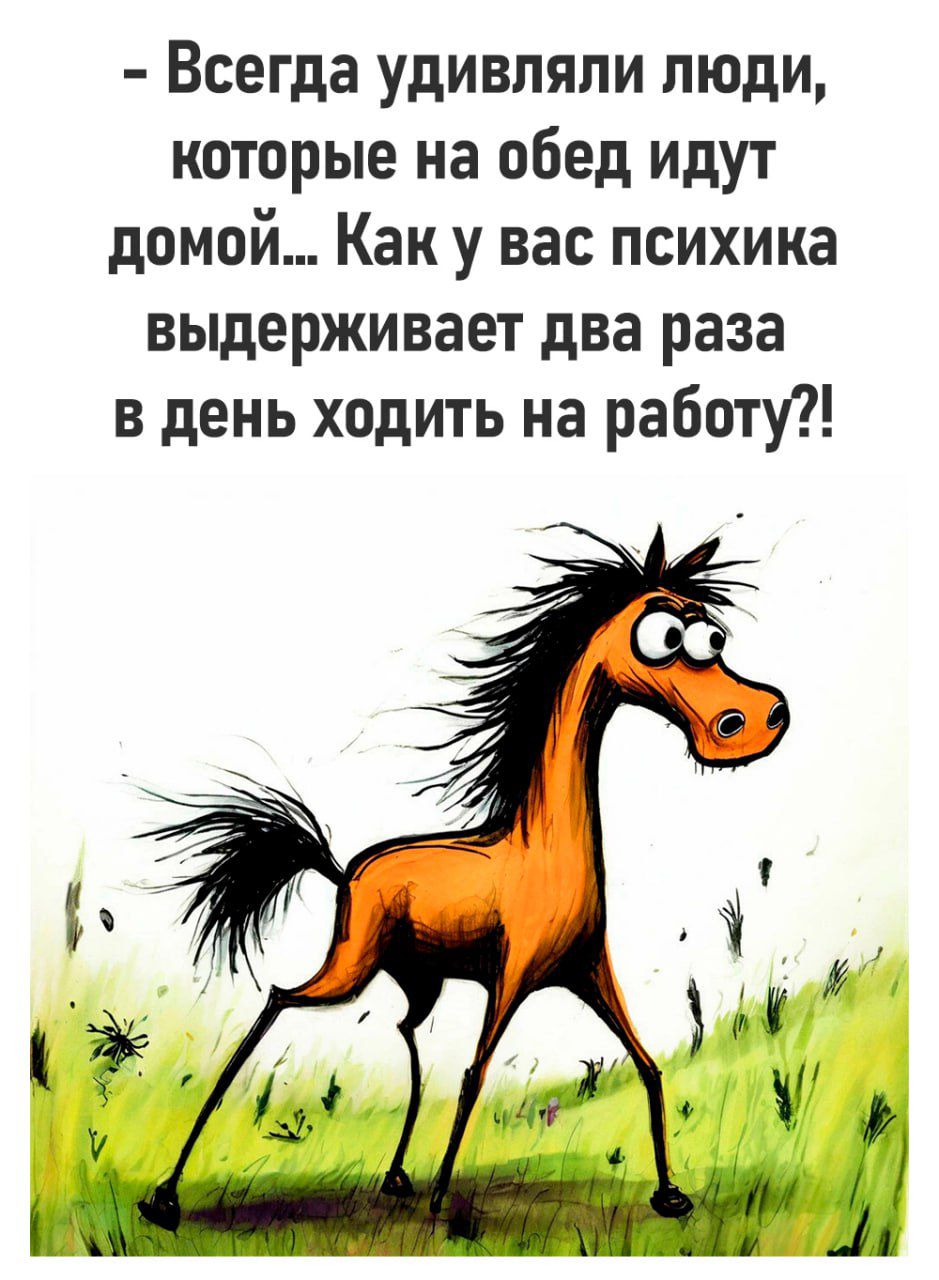 Всегда удивляли люди которые на обед идут домой Как у вас психика выдерживает два раза в день ходить на работу