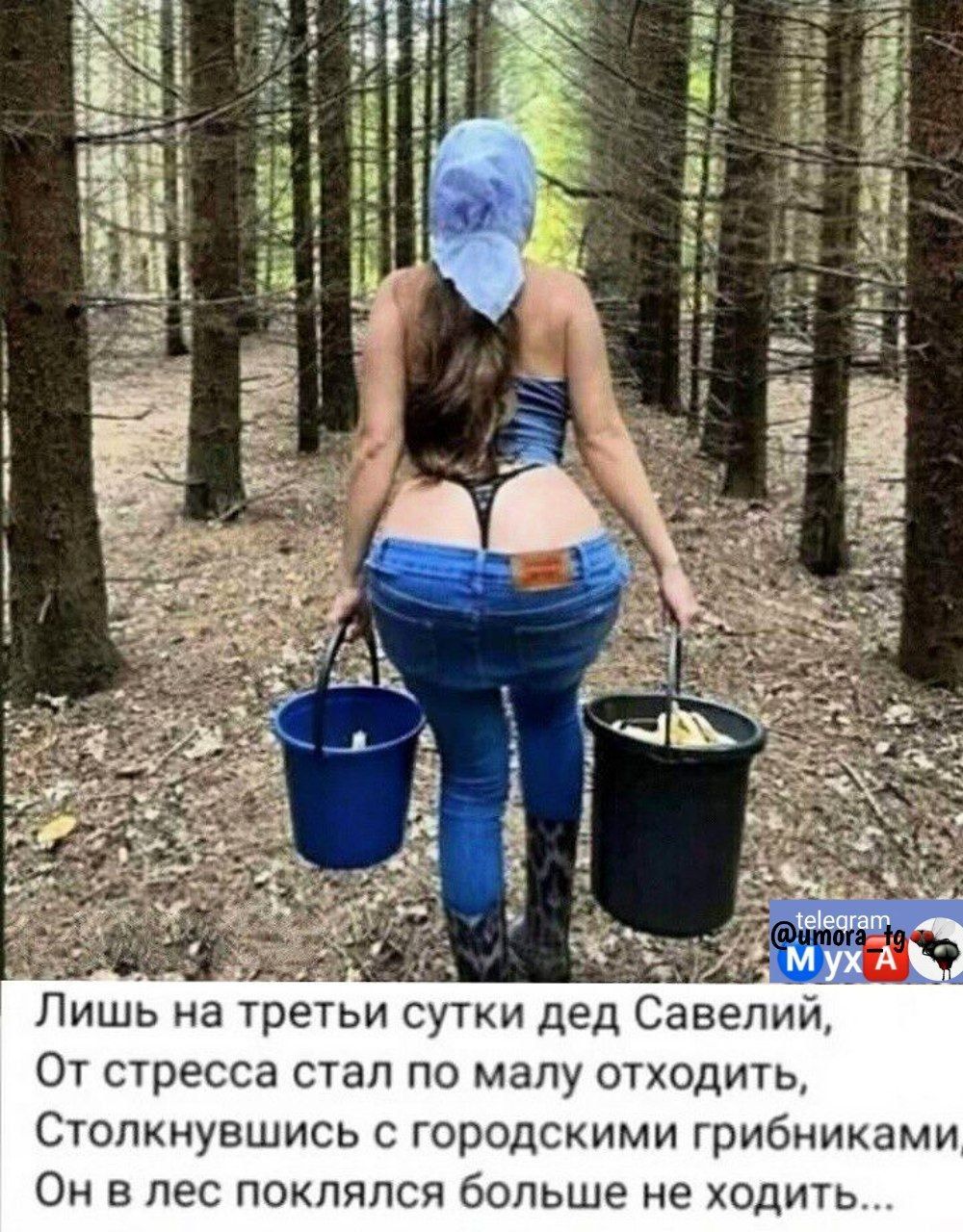 аЯ Лишь на третьи сутки дед Савелий От стресса стал по малу отходить Столкнувшись с городскими грибниками Он в лес поклялся больше не ходить