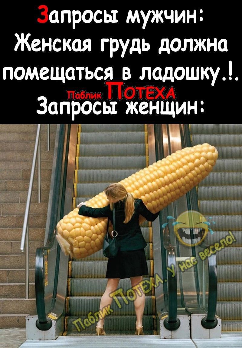 апросы мужчин Женская грудь должна помещаться в лодошку Запросы женщин уе