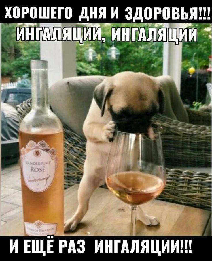 ХОРОШЕГО ДНЯ И ЗдоРВВЪЯ рАГЕТУТТАТ