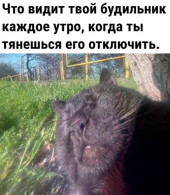 Что видит твой будильник каждое утро когда ты тянешься его отключить Г