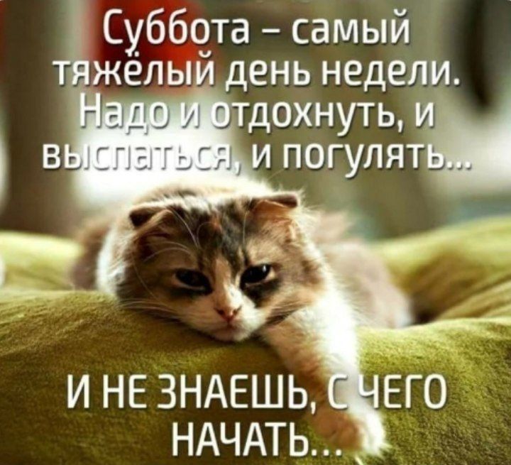 Суббота самый жёлый день недели ИНЕ ЗНАЕШЬ НАЧАТЬ