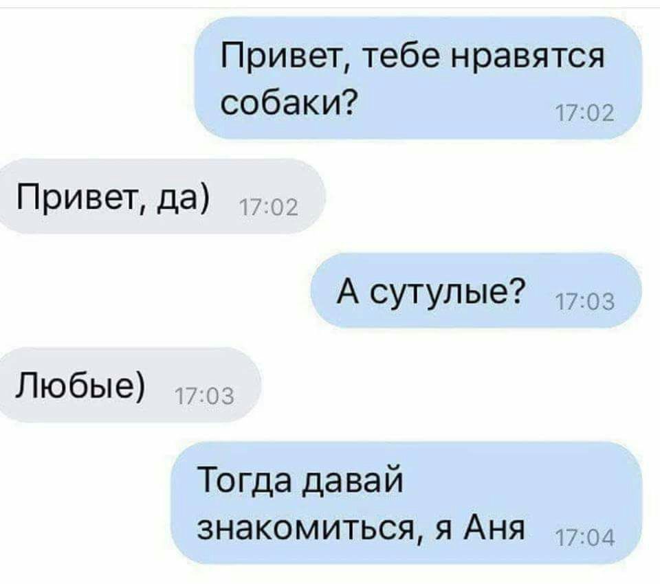 Привет тебе нравятся собаки 1702 Привет да А сутулые 70з Любые Тогда давай знакомиться я АНЯ 170л
