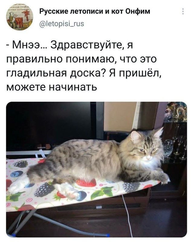 Русские летописи и кот Онфим еор5_гиз Мнээ Здравствуйте я правильно понимаю что это гладильная доска Я пришёл можете начинать