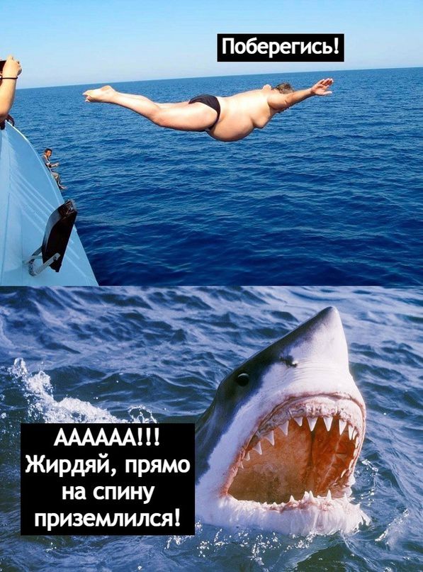 Жирдяй прямо на спину приземпился 9 К ОЫ