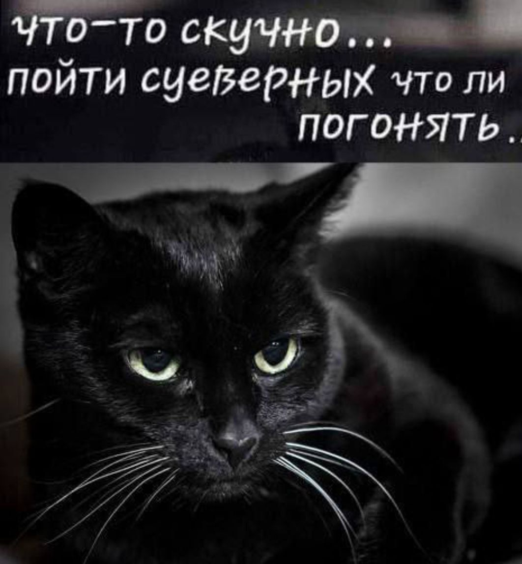 что то скучно пойти сцеверных что ли погоНятЬ чч д ЫЭ_д