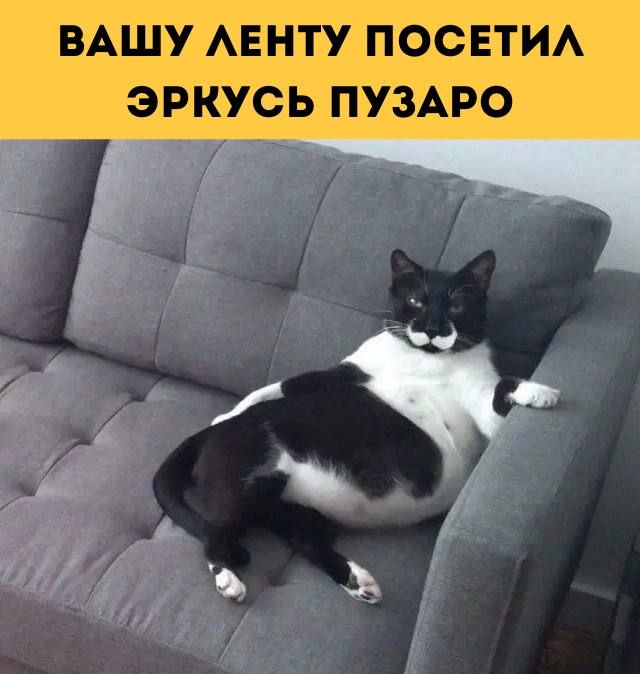 ВАШУ ЛЕНТУ ПОСЕТИЛ ЭРКУСЬ ПУЗАРО