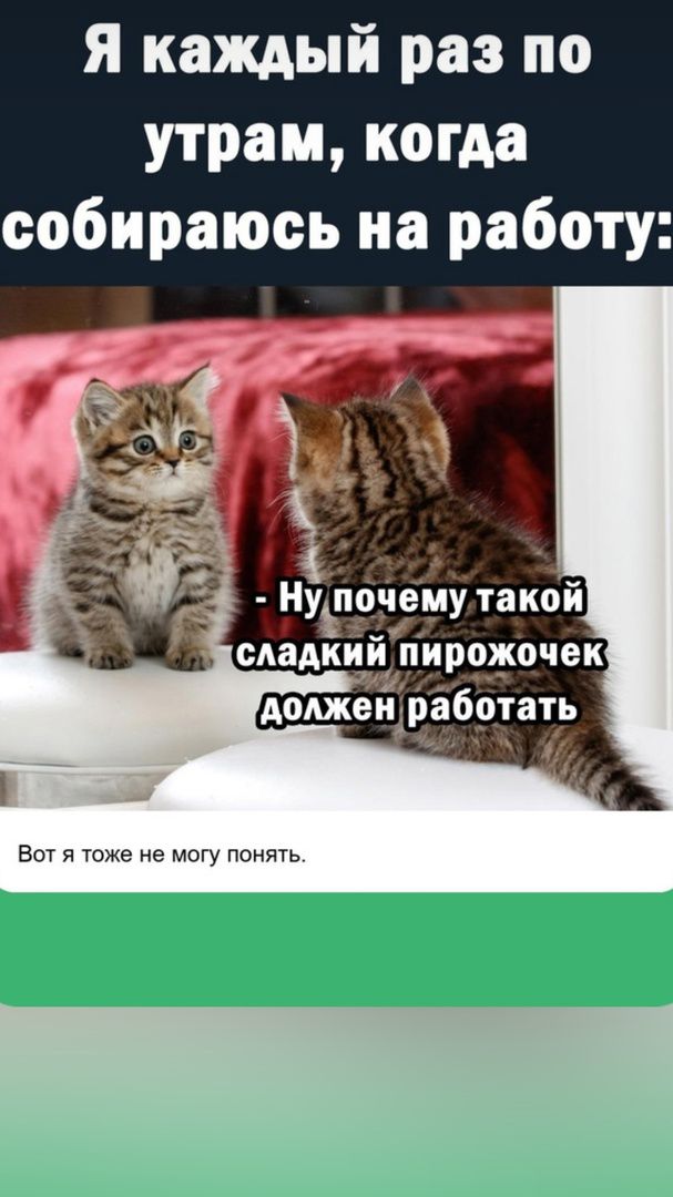 Я каждый раз по утрам когда собираюсь на работу Вот я тоже не могу понять