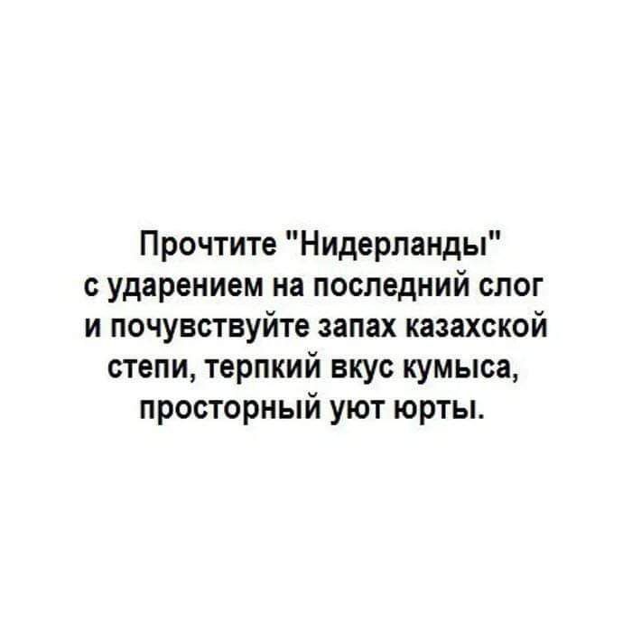 Прочтите Нидерланды суударением на последний слог и почувствуйте запах казахской степи терпкий вкус кумыса просторный уют юрты