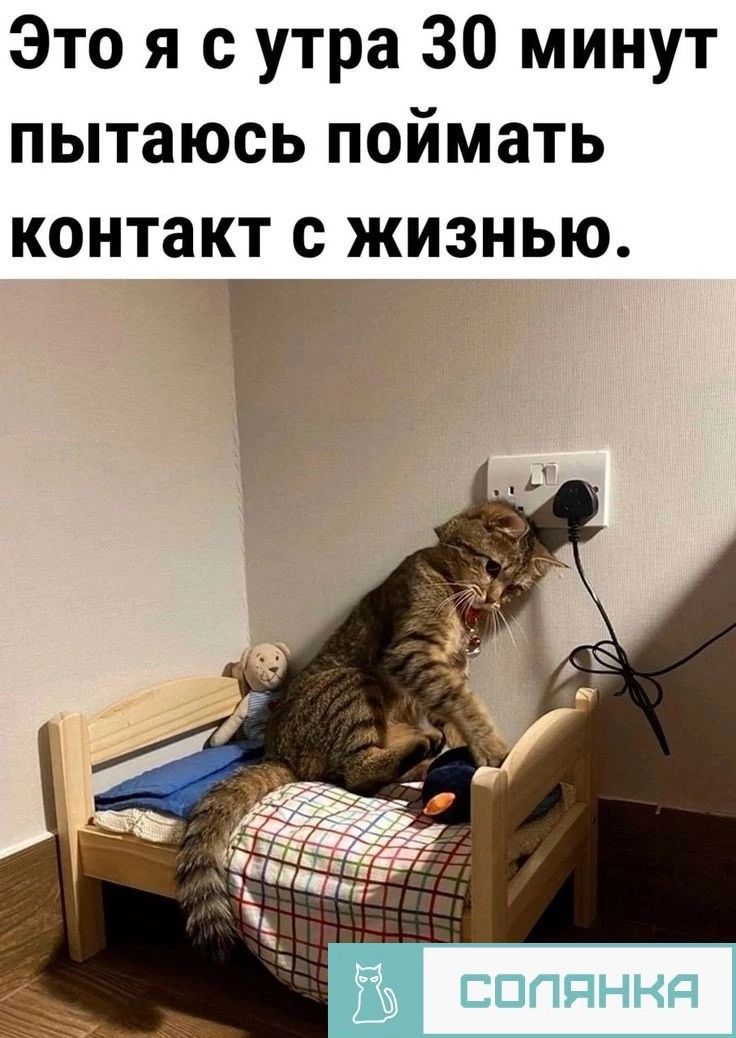 Это я с утра 30 минут пытаюсь поймать контакт с жизнью