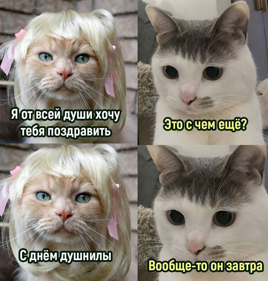 я 5 всеиЪуши хоч тебя поздравить