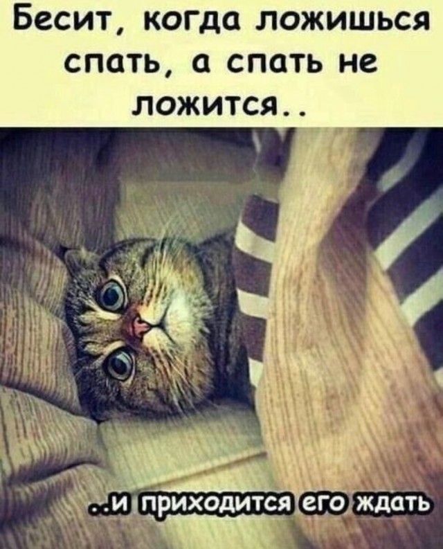 Бесит когда ЛОЖИШЬСЯ спать а спать не ложЖитсСяЯ Е Ё А и д Ё_ иприходитсяегождать Ъ
