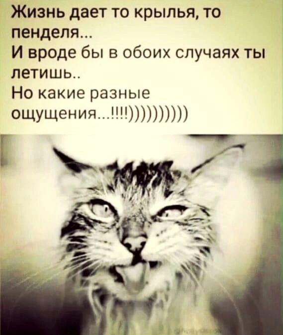 Жизнь дает то крылья то пенделя И вроде бы в обоих случаях ты летишь Но какие разные