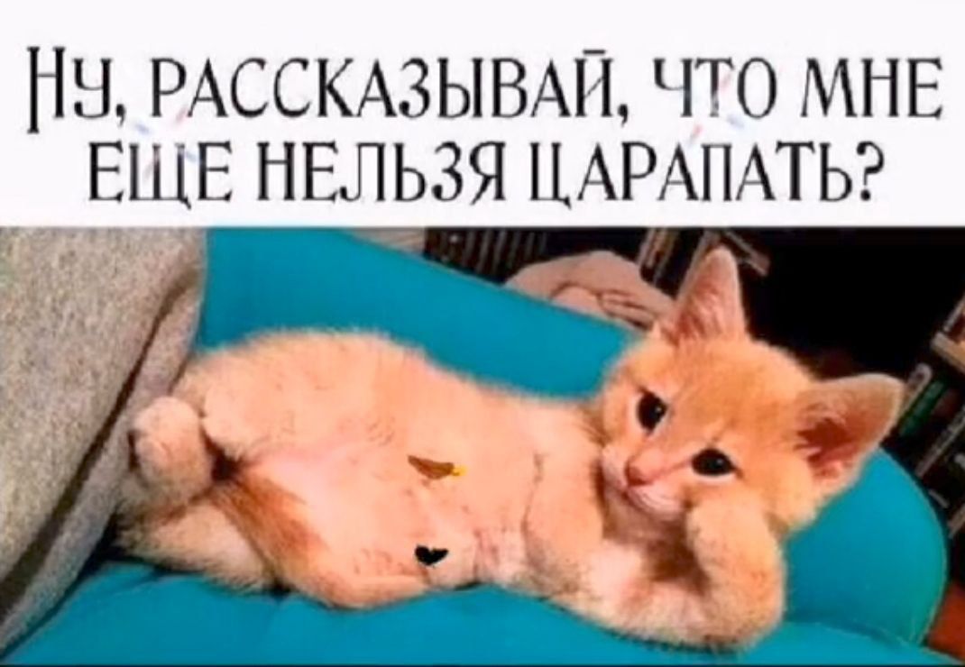 1Ч РАССКАЗЫВАЙ ЧТО МНЕ ЕЩЕ НЕЛЬЗЯ ЦАРАПАТЬ