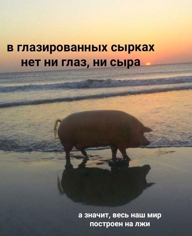 в глазированных сырках нет ни глаз ни сыра _ е а значит весь наш мир построен на лжи