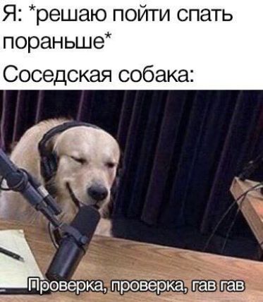Я решаю пойти спать пораньше Соседская собака а 46 Гч Оа й тров_зеркапроведріё_двігав