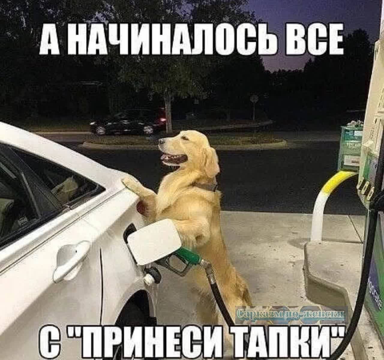А НАЧИНАЛОСЬ ВСЕ