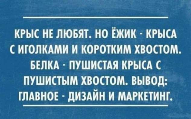 КРЫС НЕ ЛЮБЯТ НО ЁЖИК КРЫСА С ИГОЛКАМИ И КОРОТКИМ ХВОСТОМ БЕЛКА ПУШИСТАЯ КРЫСА С ПУШИСТЫМ ХВОСТОМ ВЫВОД ГЛАВНОЕ ДИЗАЙН И МАРКЕТИНГ