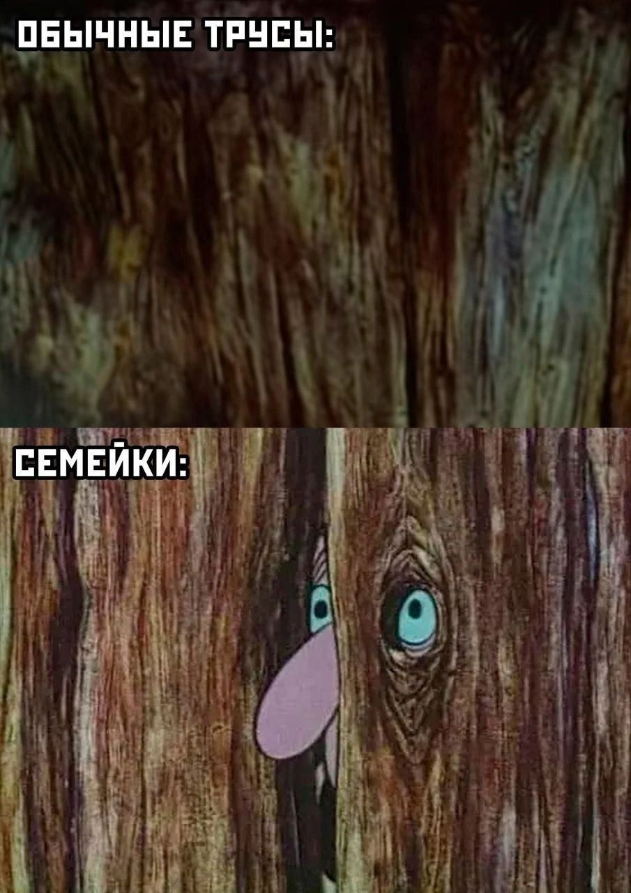 ОБЫЧНЫЕ ТРНЁЫ