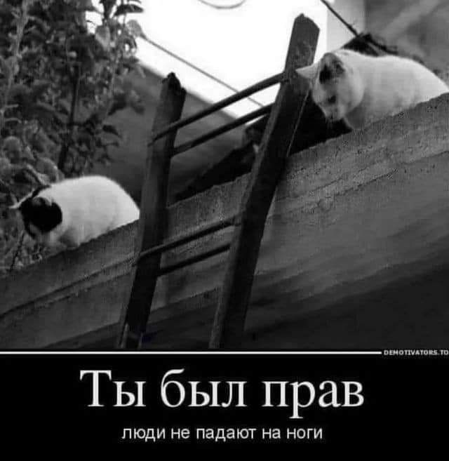 ТЬ бЬЛ Прав люди не падают на ноги