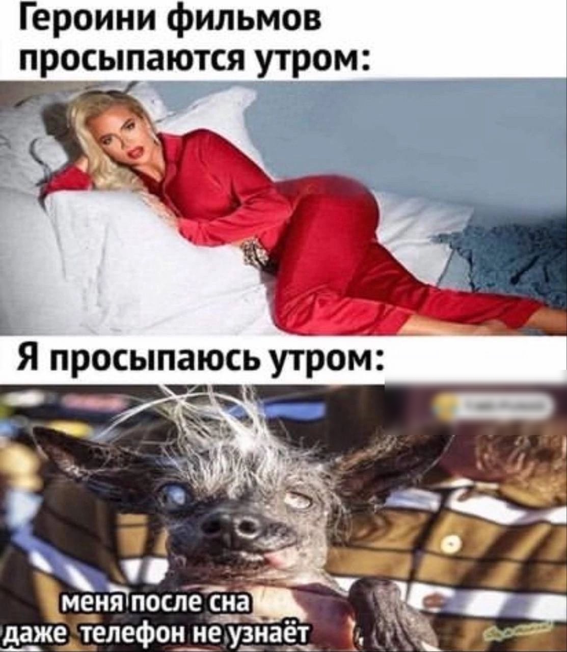 Героини фильмов просыпаются утром дажелтелефон
