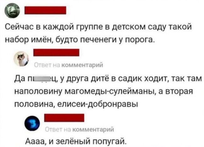 ннн Сейчас в каждой группе в детском саду такой набор имён будто печенеги у порога комментарий Да пижааи у друга дитё в садик ходит так там наполовину магомеды сулейманы а вторая половина елисеи добронравы комментарий Аааа и зелёный попугай