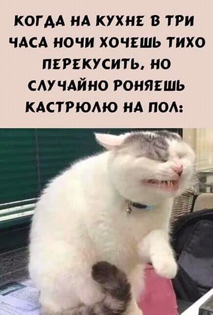 КОГДА НА КУХНЕ В ТРИ ЧАСА НОЧИ ХОЧЕШЬ ТИХО ПЕРЕКУСИТЬ НО СЛУЧАЙНО РОНЯЕШЬ КАСТРЮЛЮ НА ПОЛ