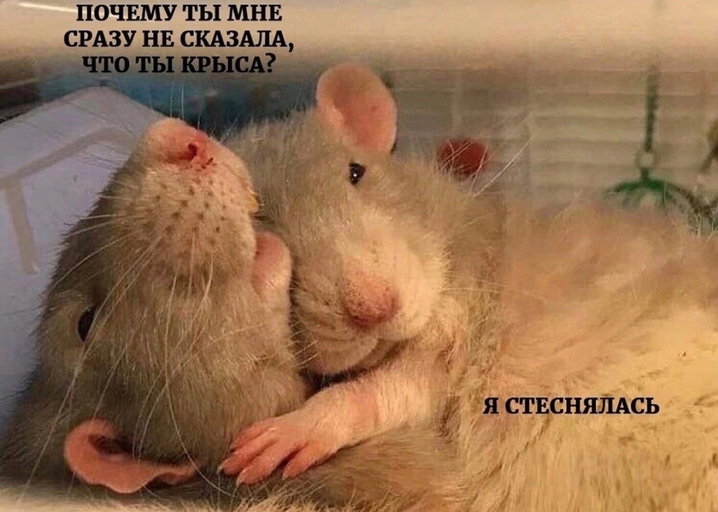 ПОЧЕМУ ТЫ МНЕ