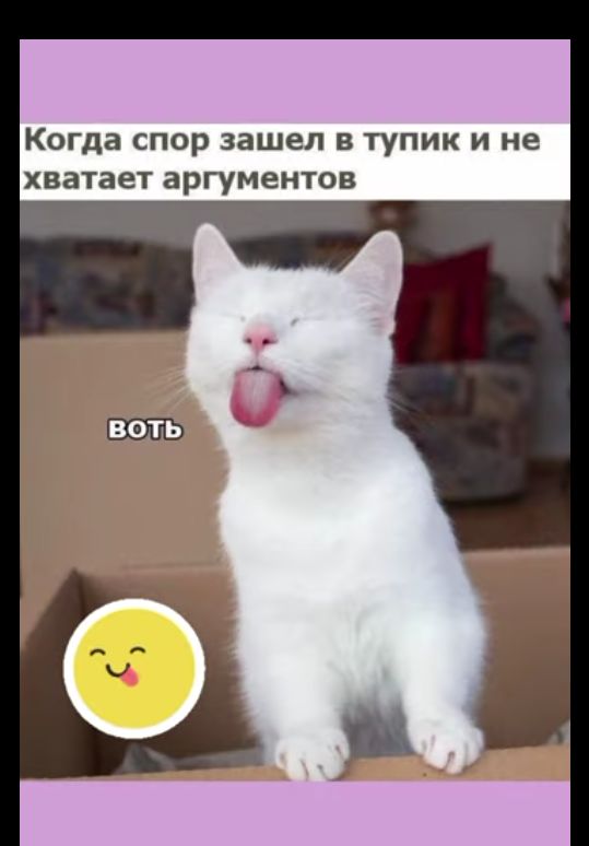 Когда спор зашел в тупик и не хватает аргументов