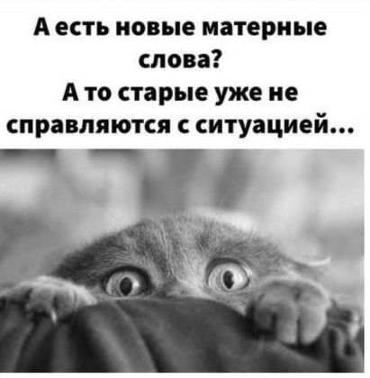 Аесть новые матерные слова Ато старые уже не справляются с ситуацией