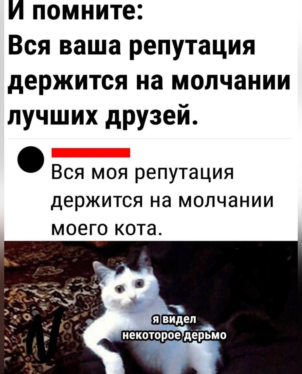 И помните Вся ваша репутация держится на молчании лучших друзей соаалыааиятт Вся моя репутация держится на молчании моего кота