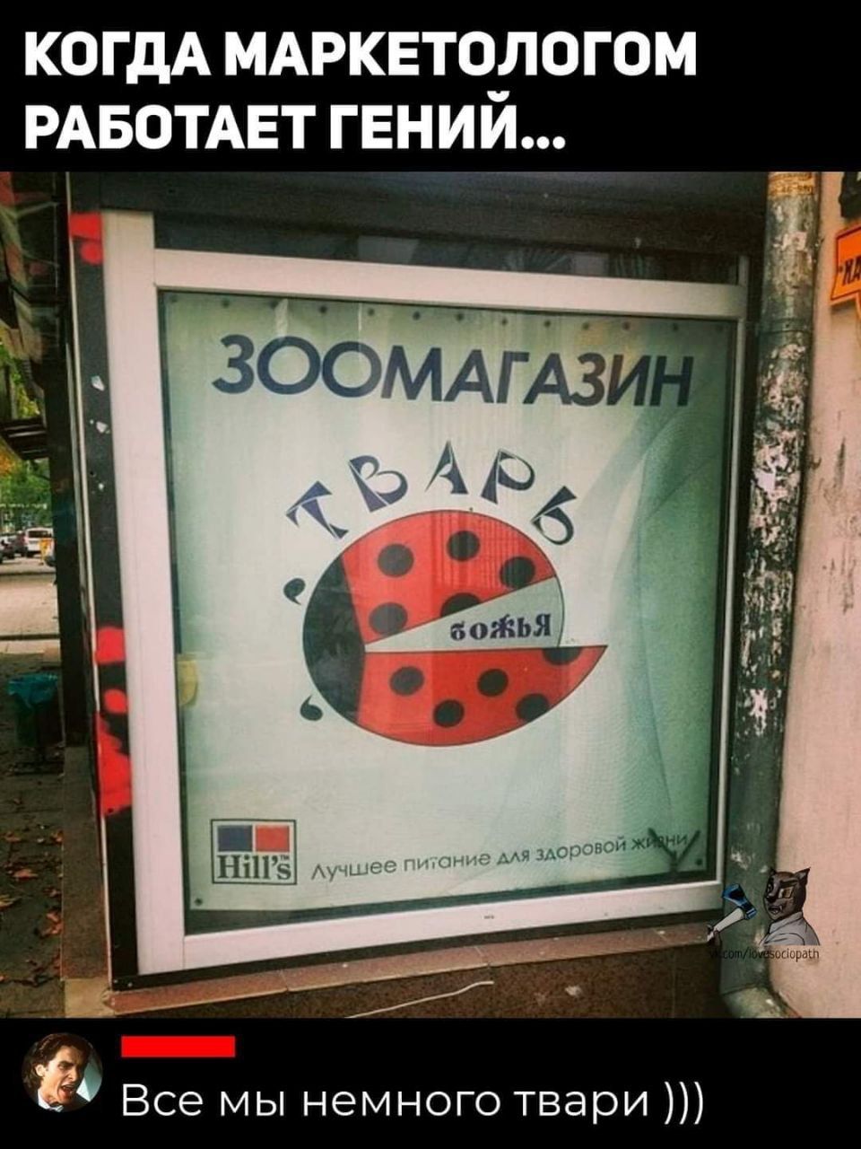 КОГДА МАРКЕТОЛОГОМ РАБОТАЕТ ГЕНИИ Ё Все мы немного твари