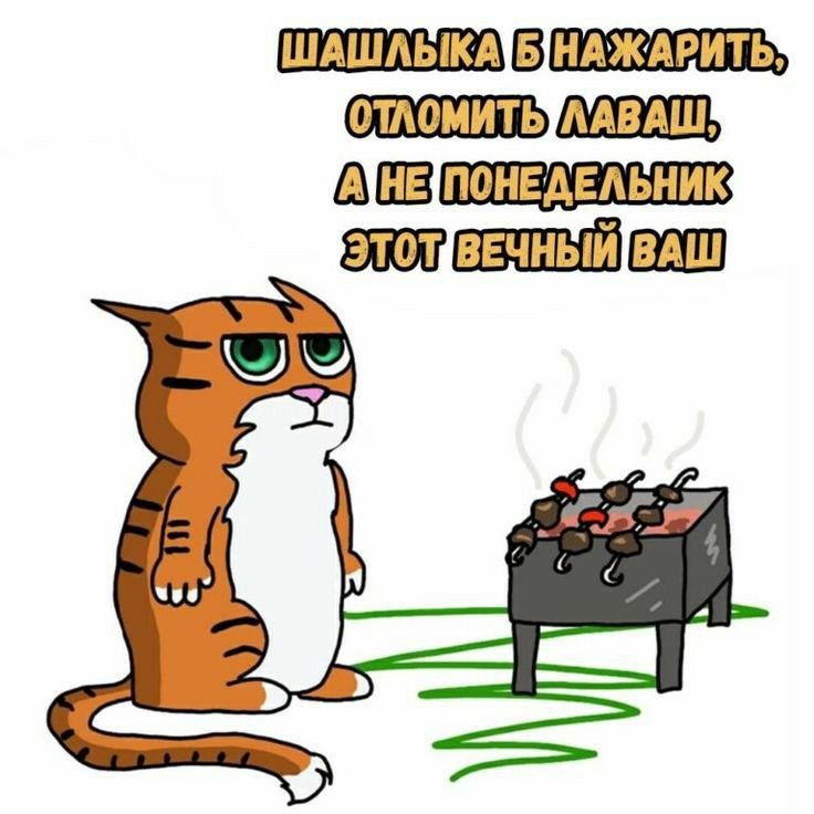 ШАШЛЫКАЫНАЖАРИТЬ АОСТОЛЬ ДУЗЕУТТ АВ ШИЗАЕТССТТ ТЭТОЛВЕЧНЫЙВАШ