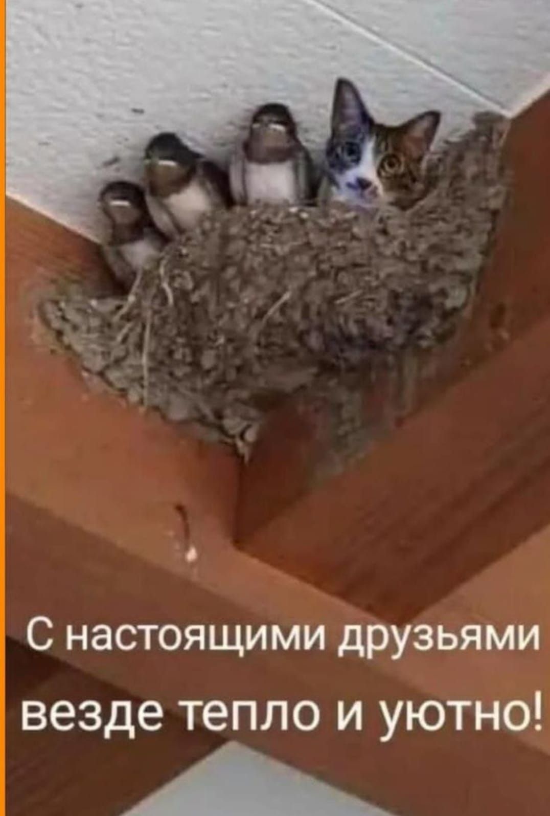 С настоящими друзьями везде тепло и уютно р