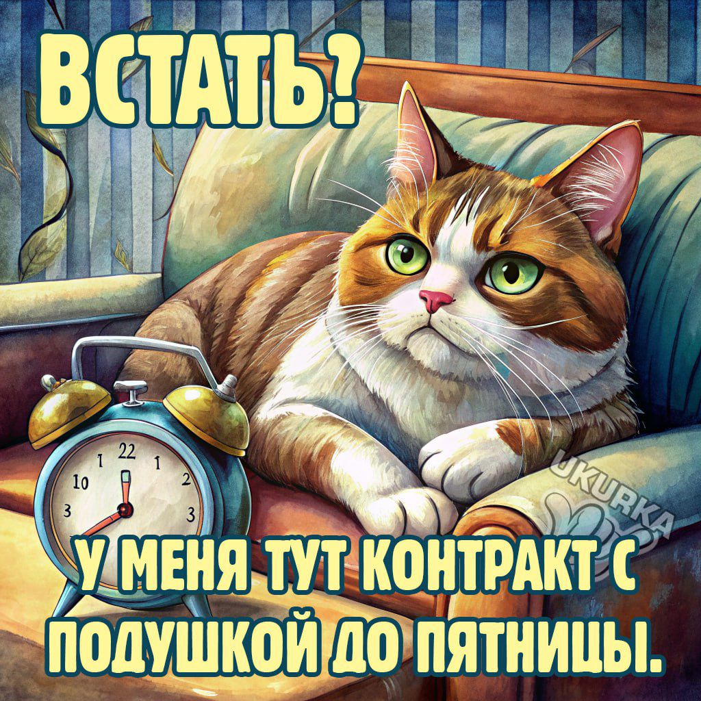 КОНТРАКТС ЕНЯТУТ ПОДУШКОЙДОПЯТНИЦЫ Кя