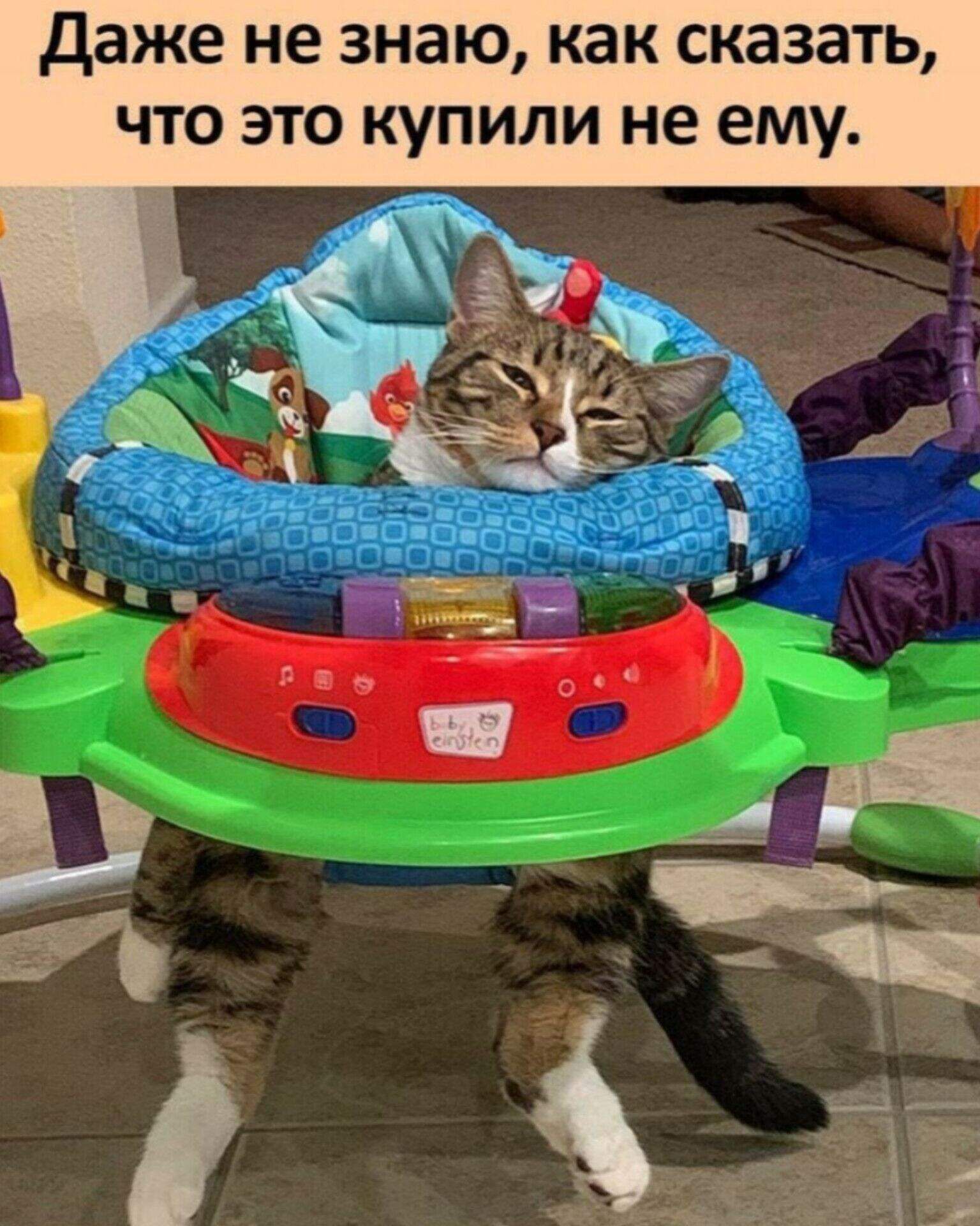 Даже не знаю как сказать что это купили не ему