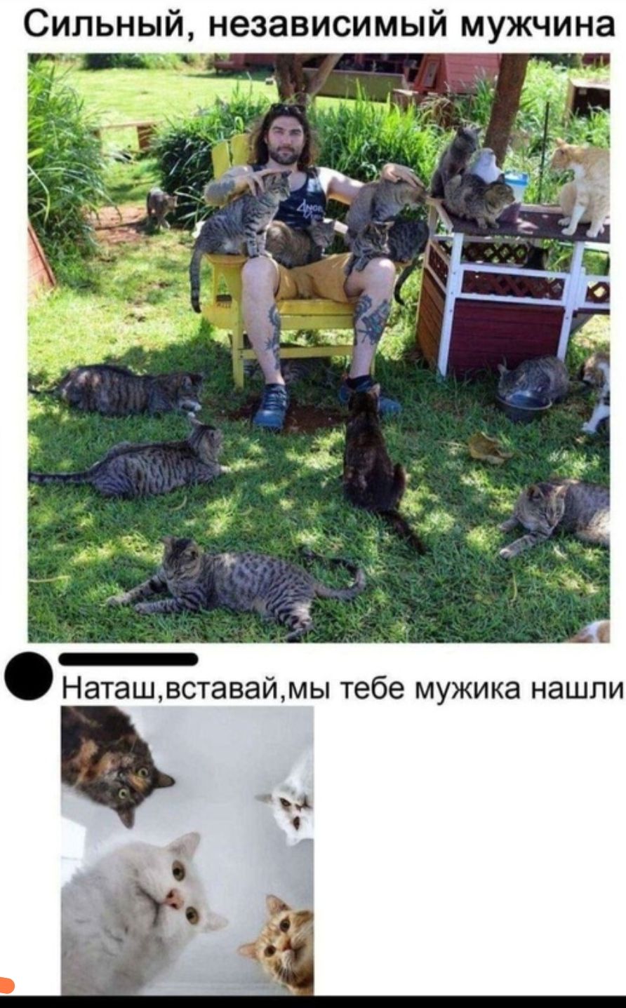 Сильный независимый мужчина нтаите Наташвставаймы тебе мужика нашли