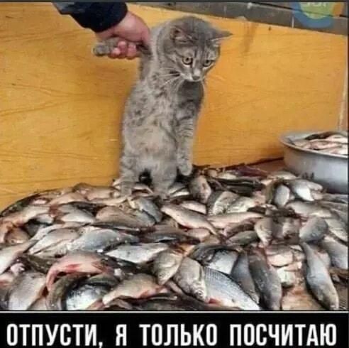 На М с ОТПУСТИ Я ТОЛЬКО ППСЧИТАЮ