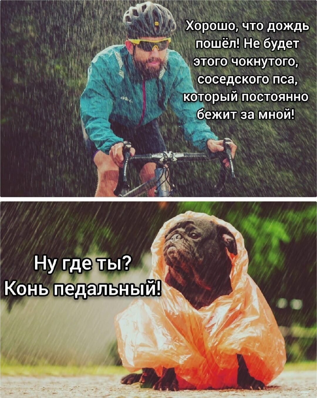 пошёл Небудет этого чокнутого соседского пса _