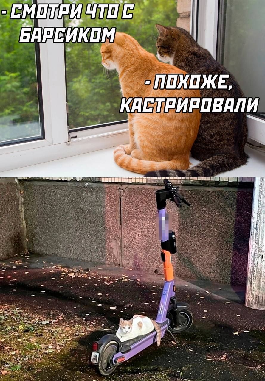 ЕМОТРИ ТО Е 2 а0 БЯВЕЙКОМ ь 2 3 ч а ПОХОЖЕ КЛЁЕРИРПВДЛИ й