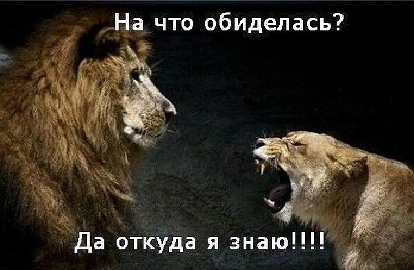 На что обиделась Да откуда я знаю