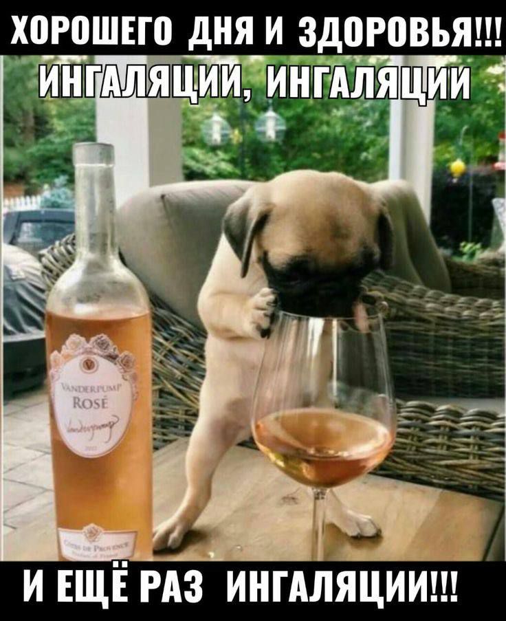 ХОРОШЕГО дНЯ Ц ЗдоРВВЪЯ рАГТЕИТТТ