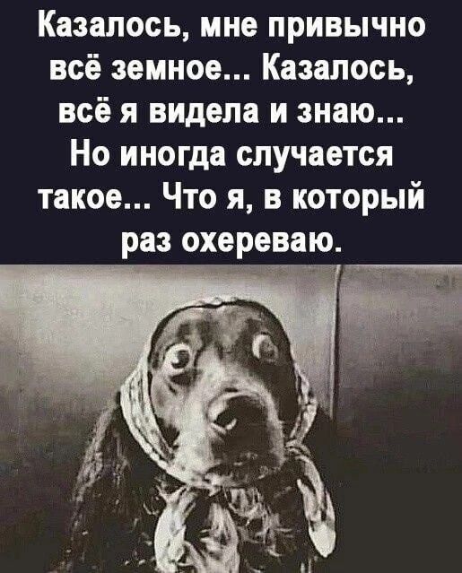Казалось мне привычно всё земное Казалось всё я видела и знаю Но иногда случается такое Что я в который раз охереваю н