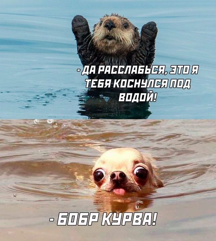 ЗЕПЕРКЧЕНЯ