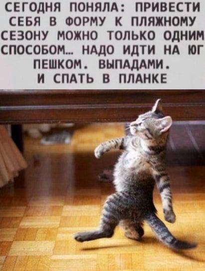 СЕГОДНЯ ПОНЯЛА ПРИВЕСТИ СЕБЯ В ФОРМУ К ПЛЯЖНОМУ СЕЗОНУ МОЖНО ТОЛЬКО ОДНИМ СПОСОБОМ НАДО ИДТИ НА ЮГ ПЕШКОМ ВЫПАДАМИ И СПАТЬ В ПЛАНКЕ