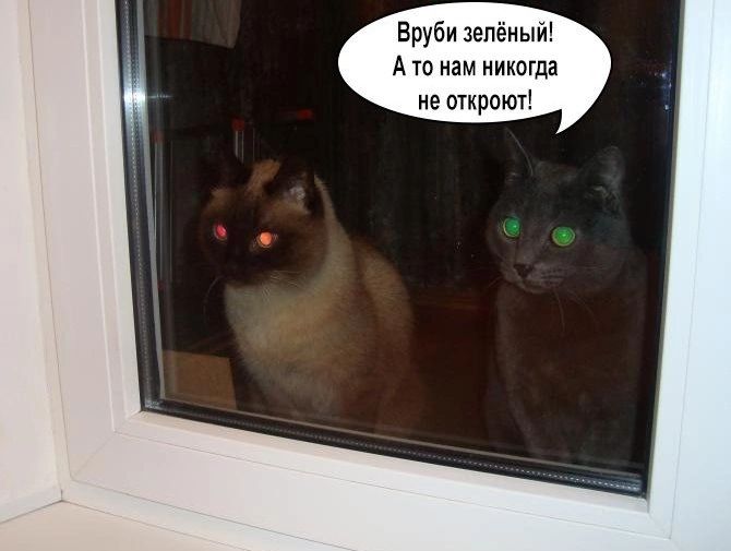 Вруби зелёный Ато нам никогда не открокт
